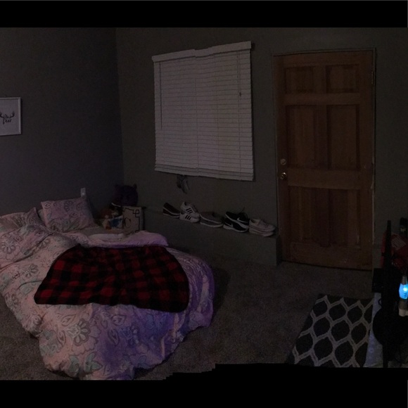 caitlin3104